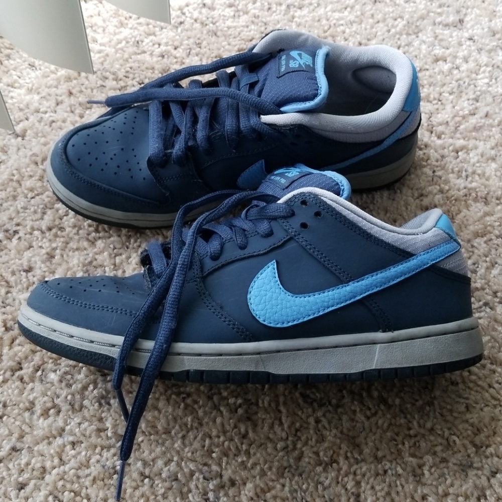 Nike SB Dunk Low Pro